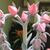 Debbie Hollis's profile image