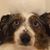 Sara Miller Lemp's profile image