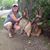 Melissa Lacey's profile image