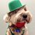 Bob Grace's profile image