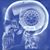 David Le Leone's profile image
