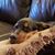 Linda Gaarde Drake's profile image