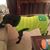 Wendy Atwood Karsch's profile image
