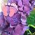 Jennifer Wilson's profile image