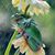 Carol Goewey's profile image