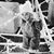 Stephanie Kelly Garrett's profile image