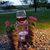 Kelly Traynor Hansen's profile image
