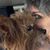 Darcy Eakins's profile image