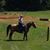 Ron Deines Sr.'s profile image