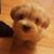 Rose Smith's profile image