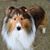 Lyn Kuzdas's profile image