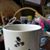 Joyce Bramsche's profile image