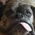 Darcie Hannah's profile image