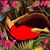 Nancy Fried's profile image