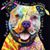 Janet David Worley's profile image