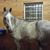 Vicki Brown's profile image