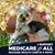 Pamela DiPrete Messore's profile image