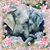 Wanda Ancion's profile image