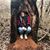 Tami Caswell Newton's profile image