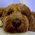 Sally Hartzell Pilcher's profile image