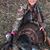 Darlene Bailey's profile image