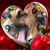 Boni Forte's profile image