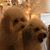 Gayle Roberts's profile image