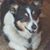 Ann Baldau's profile image