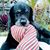 Sharon Kinney Valentino's profile image