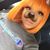 Indiee Thelashlady Nichole's profile image