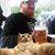 Lucas Bramell's profile image