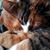 Kathy Glavan Mauer's profile image