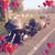 Tara A Strader's profile image