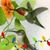 Brenda Thul's profile image