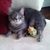Michelle Walch's profile image