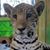 Kelly Christesen's profile image