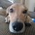 Larry Leffler Jr's profile image