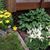 Barb Legare's profile image
