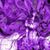 Ann Scherer's profile image