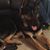 Margaret Twyman's profile image