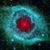 DiAnne Kelly's profile image
