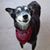 Mary Ann's profile image