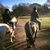 Corinne Tindal Cook's profile image
