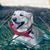 Pam Copelan McSpadden's profile image