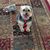 Kathy Kneeland-Jansen's profile image