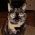 William Vanderplas's profile image