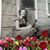 Jo Ann Miller's profile image