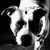 Amy Nelson's profile image