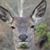Charlotte Handley's profile image