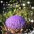 Diane Wymore's profile image